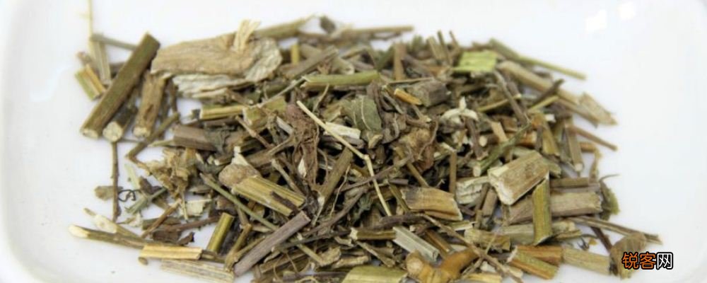 马鞭草可治疗哪些疾病