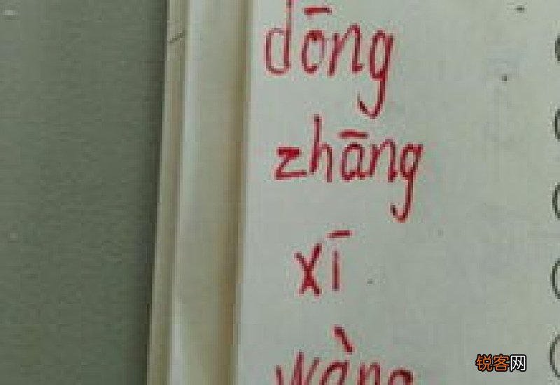 用东张西望造句,用东张西望写一句话