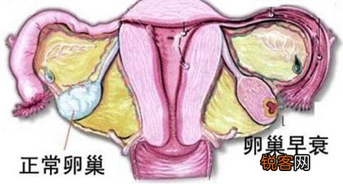女性闭经的临床症状有什么？详细表示在这五方面！