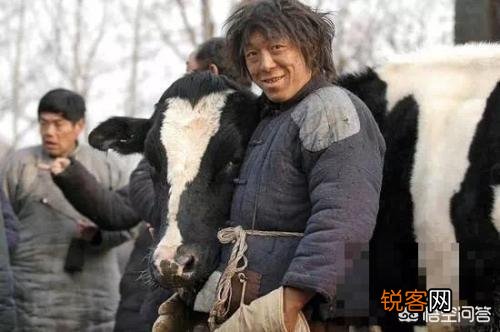 《人间·喜剧》为何不如《疯狂的石头》,艾伦演技比不过黄渤吗？