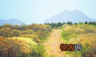 人间四月天是什么意思 人间四月天的含义
