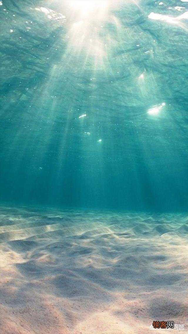 什么潮水适合海钓？