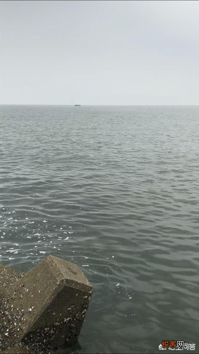 什么潮水适合海钓？