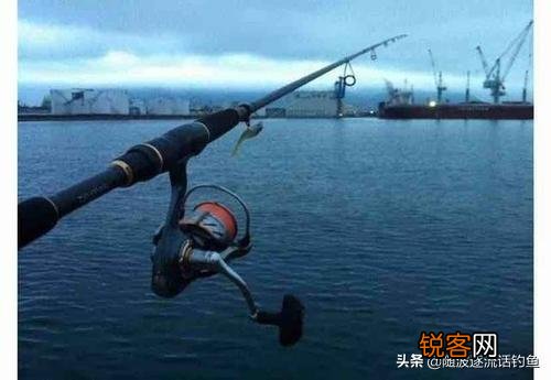 什么潮水适合海钓？