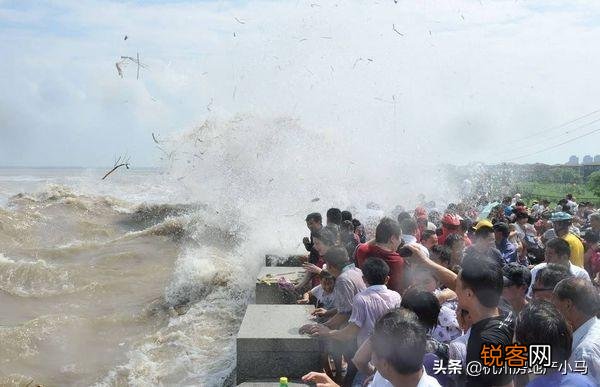 《观潮》的中心思想是什么？