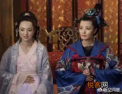 狸猫换太子讲的是一个什么故事？