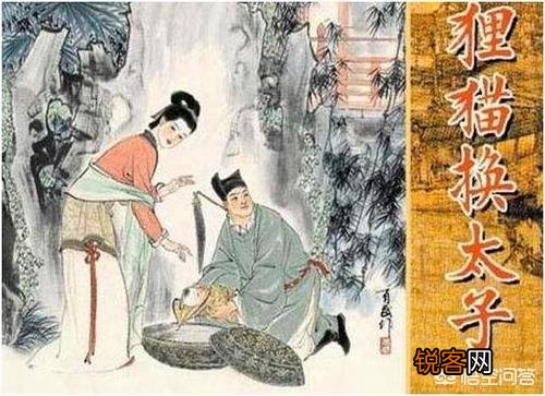 狸猫换太子讲的是一个什么故事？