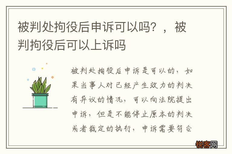 被判处拘役后申诉可以吗？，被判拘役后可以上诉吗