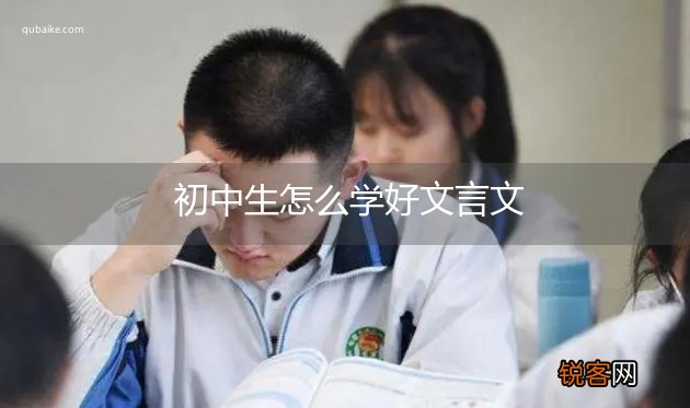 初中生怎么学好文言文