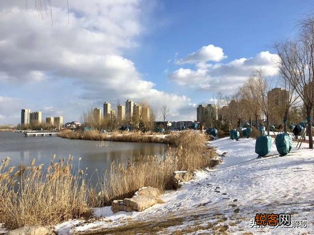 你是怎样理解“未雨绸缪”这个成语的含义？