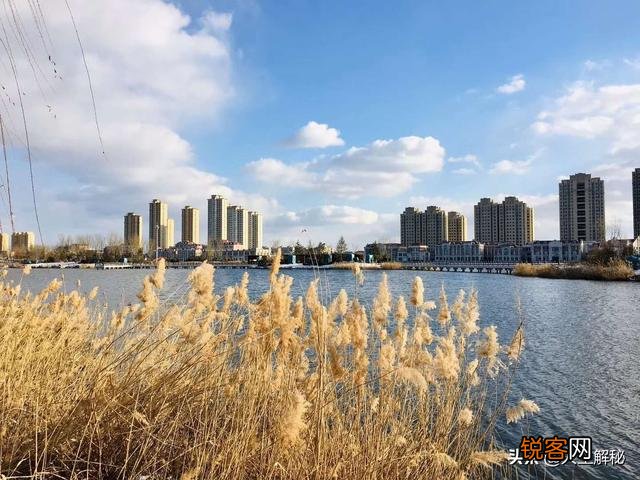 你是怎样理解“未雨绸缪”这个成语的含义？