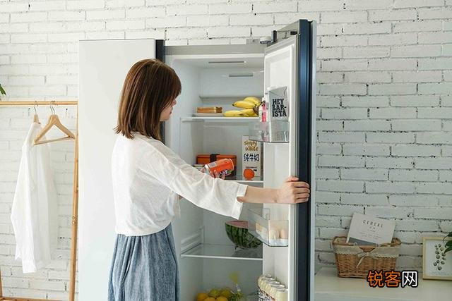 冰箱哪个牌子好用？想入手西门子,感觉德国工艺不错？