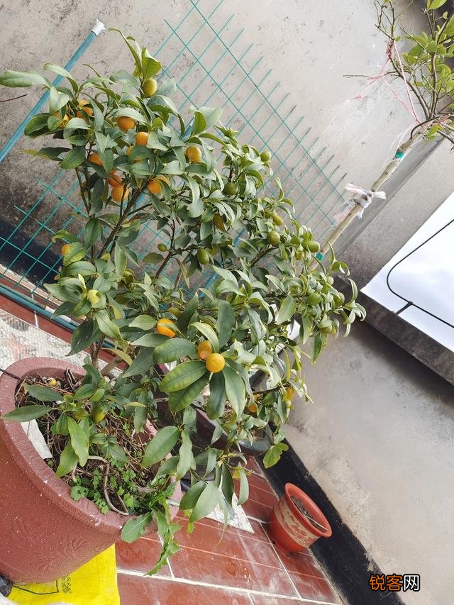 你是不是已经接近退休,你对你的退休生活又有什么样的规划？