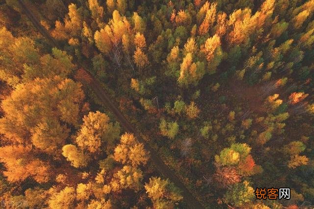 如何看待「70后」高龄夫妻自驾20万公里游遍全国？无子女陪伴是否存在安全与自由行之间的最优解？