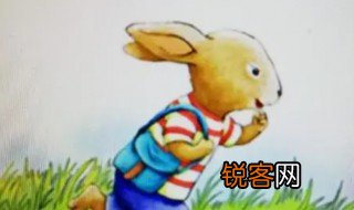 兔子坡主要内容是什么 兔子坡主要内容介绍