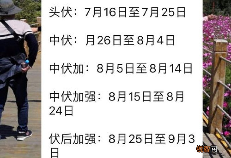 2020年三伏贴什么时候可以领