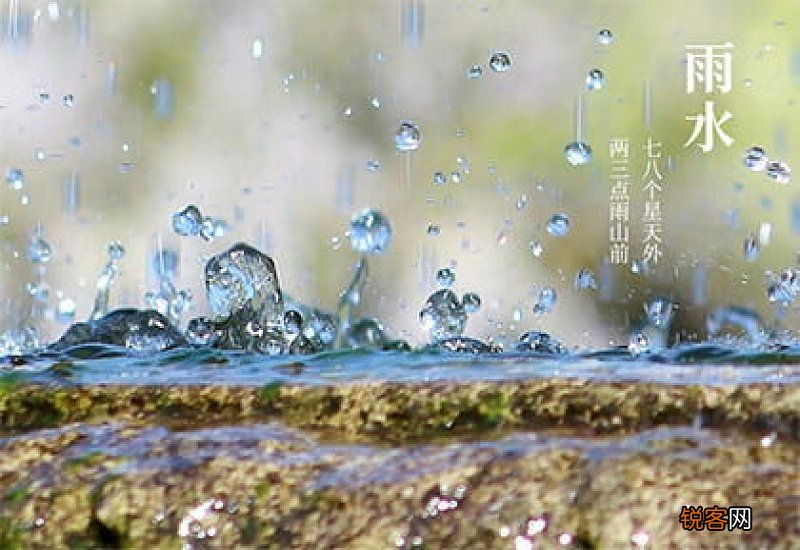 2021年雨水是几九