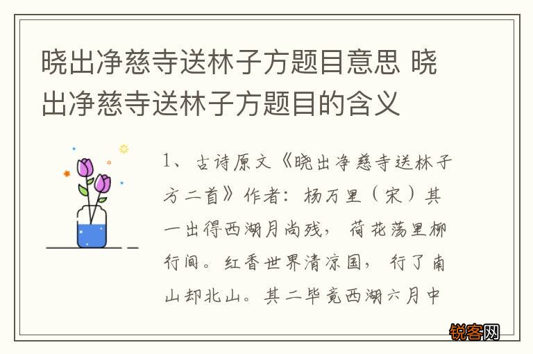 晓出净慈寺送林子方题目意思 晓出净慈寺送林子方题目的含义