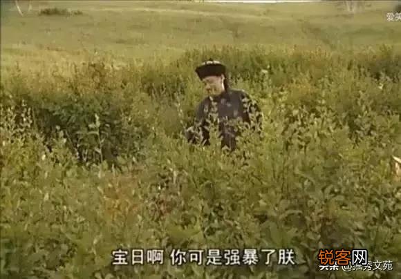 《康熙王朝》胤禔钟情宝日龙梅,康熙为何当着他的面与宝日龙梅云雨？胤禔心里疼吗？