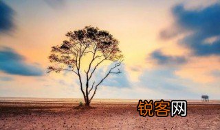 人生的意义是 人生的意义是什么