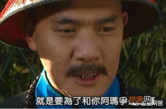 《雍正王朝》中,弘时死的时候为什么一边打自己耳光一边骂“阿其那”、“塞斯黑”？