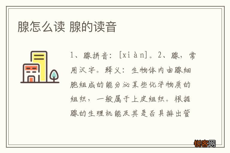腺怎么读 腺的读音