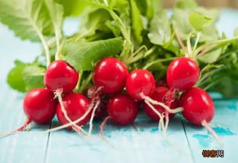 樱桃萝卜怎么吃？樱桃萝卜的营养价值