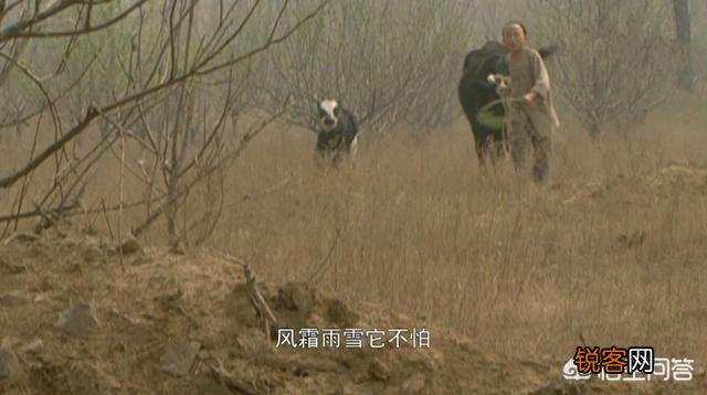 《雍正王朝》雍正请年羹尧吃饭提了三件事,为什么年羹尧敢全否？