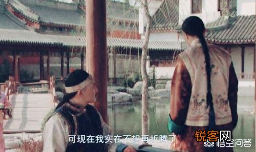 《雍正王朝》胤禩逼宫前到景陵鼓动胤禵,胤禵一句“我不会不管”有什么深意？