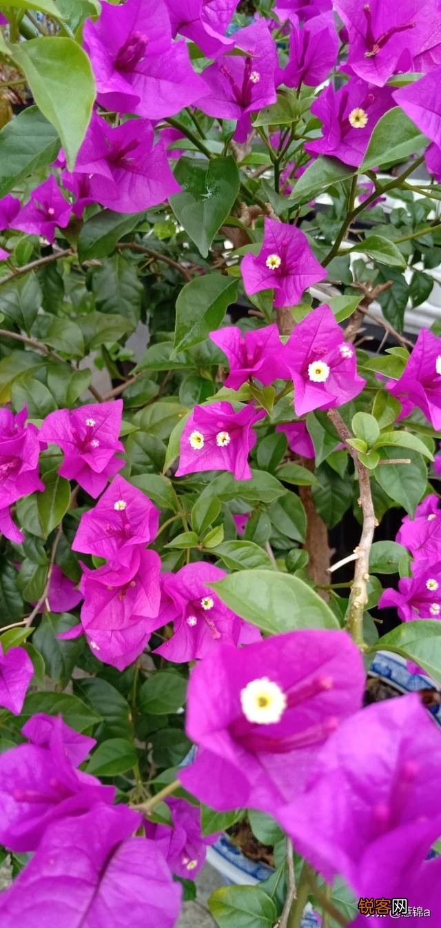 女人说什么话会让男人最伤心？