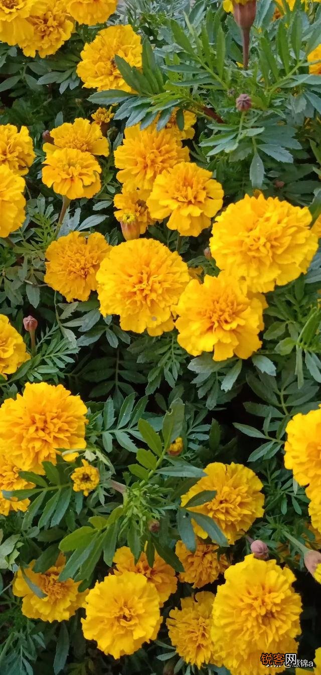 女人说什么话会让男人最伤心？