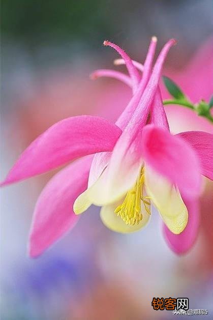 女人说什么话会让男人最伤心？