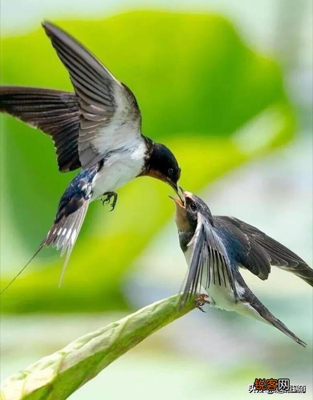 女人说什么话会让男人最伤心？