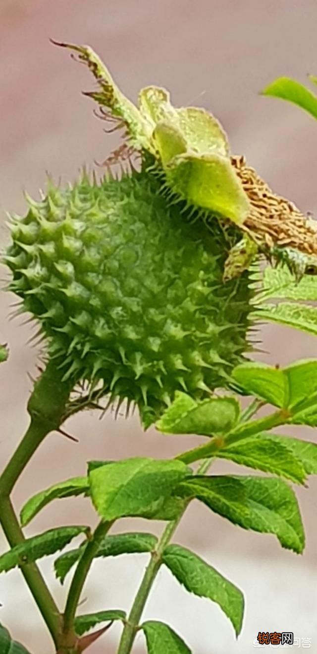 女人说什么话会让男人最伤心？