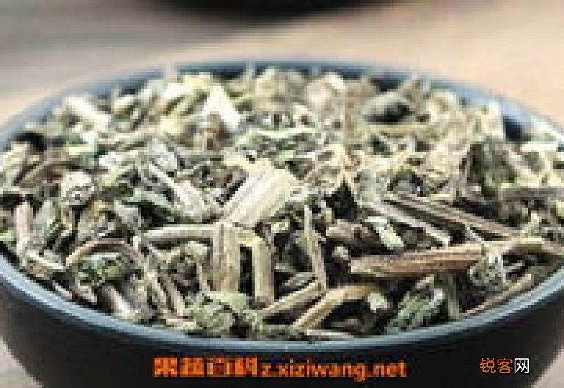 柏树果熬水洗头的功效