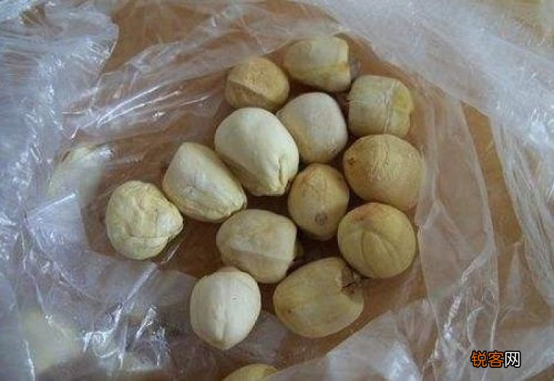 干莲子夏季怎么保存