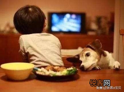 两岁半的小朋友就爱看《小猪佩奇》怎么办,别的啥都不看？