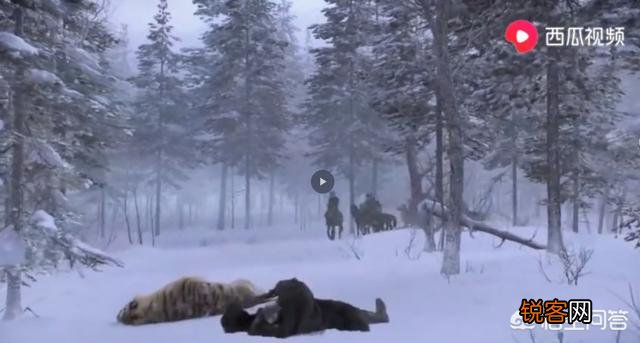 《智取威虎山》中,老八为什么那么信任杨子荣假扮的胡彪？