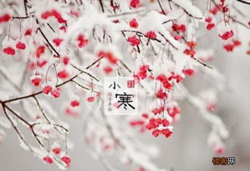 小寒是不是三九