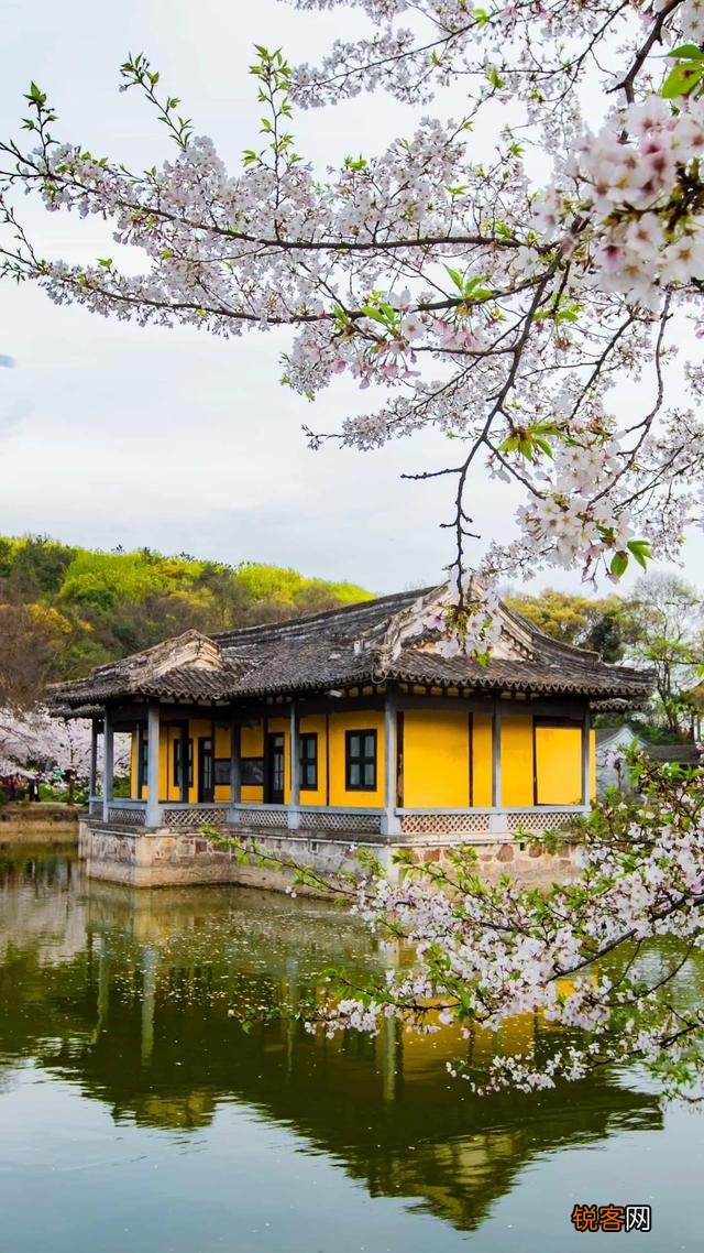 生活中有哪些受用一生的硬道理？