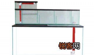 鱼缸过滤干湿分离是什么意思 鱼缸过滤干湿分离意思是什么