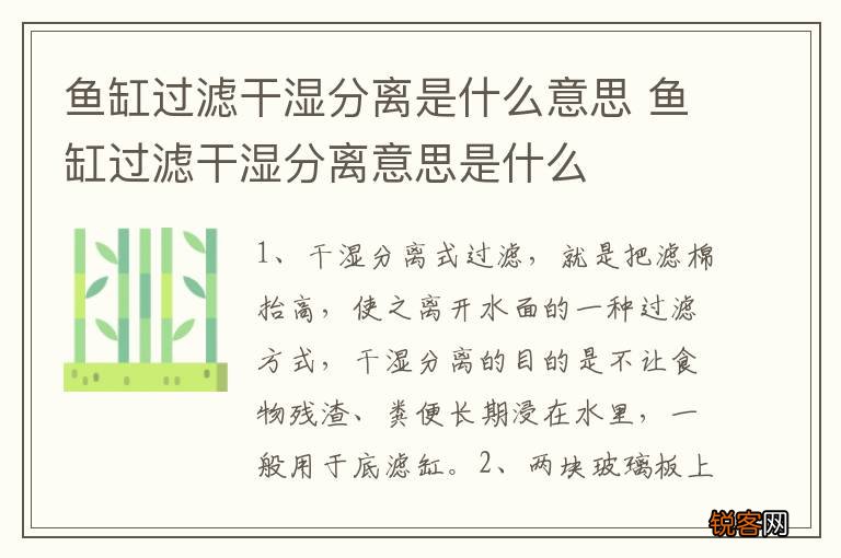 鱼缸过滤干湿分离是什么意思 鱼缸过滤干湿分离意思是什么