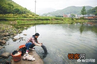在农村很多人都在池塘里洗衣服,但是这水不流通,而且还经常有鸭子在里面游水,这样真的卫生吗？