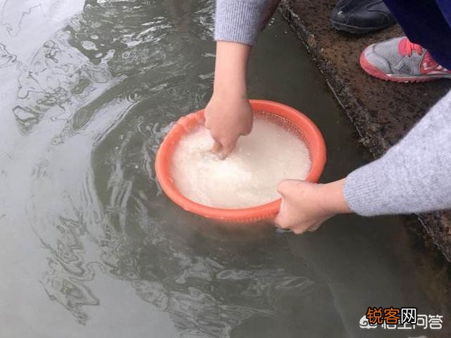在农村很多人都在池塘里洗衣服,但是这水不流通,而且还经常有鸭子在里面游水,这样真的卫生吗？