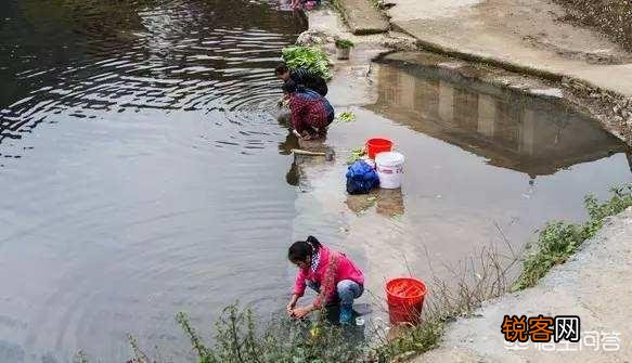 在农村很多人都在池塘里洗衣服,但是这水不流通,而且还经常有鸭子在里面游水,这样真的卫生吗？