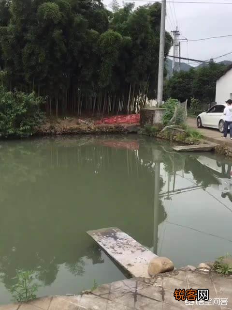 在农村很多人都在池塘里洗衣服,但是这水不流通,而且还经常有鸭子在里面游水,这样真的卫生吗？