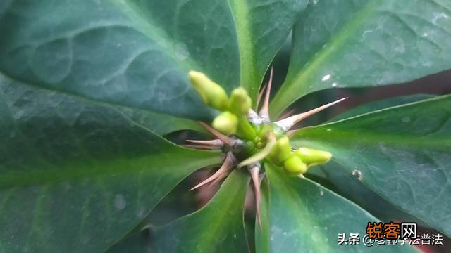 人健康长寿的秘密是什么？有人批评中医,有人赞美,你怎么看？