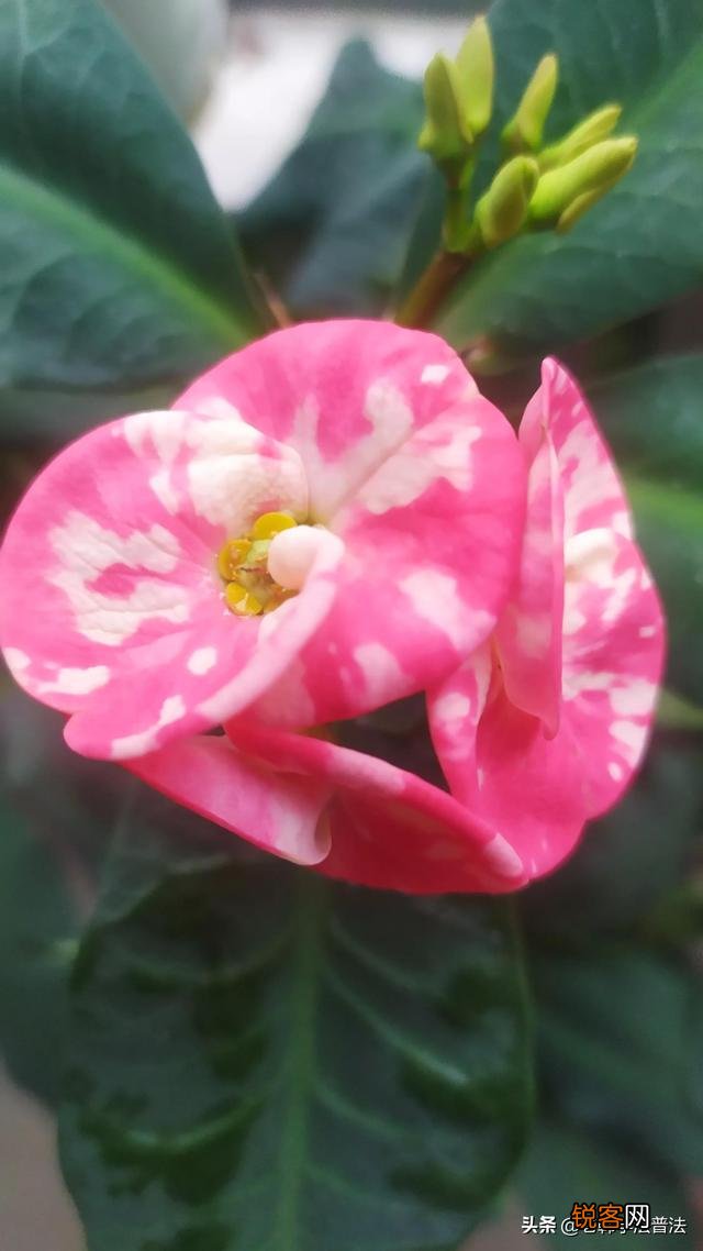 人健康长寿的秘密是什么？有人批评中医,有人赞美,你怎么看？