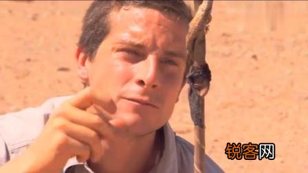 还记得“站在食物链顶端”的贝爷吗？当年爆红,为何突然不见了？