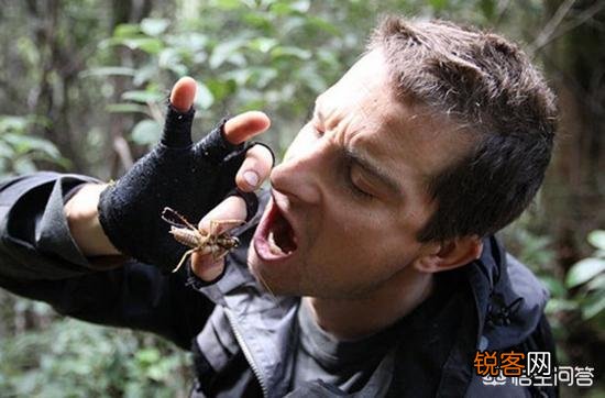 还记得“站在食物链顶端”的贝爷吗？当年爆红,为何突然不见了？